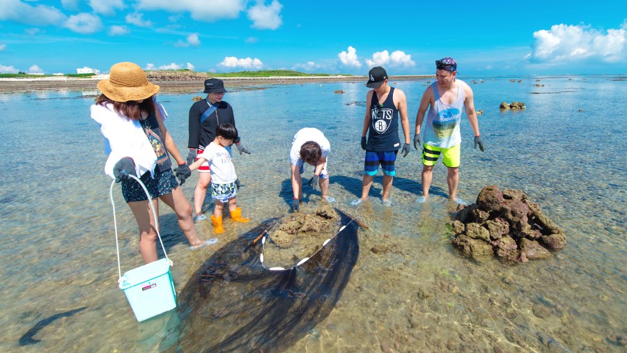 青螺外灘海田尋寶