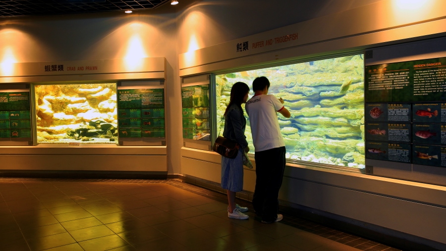 澎湖水族館門票