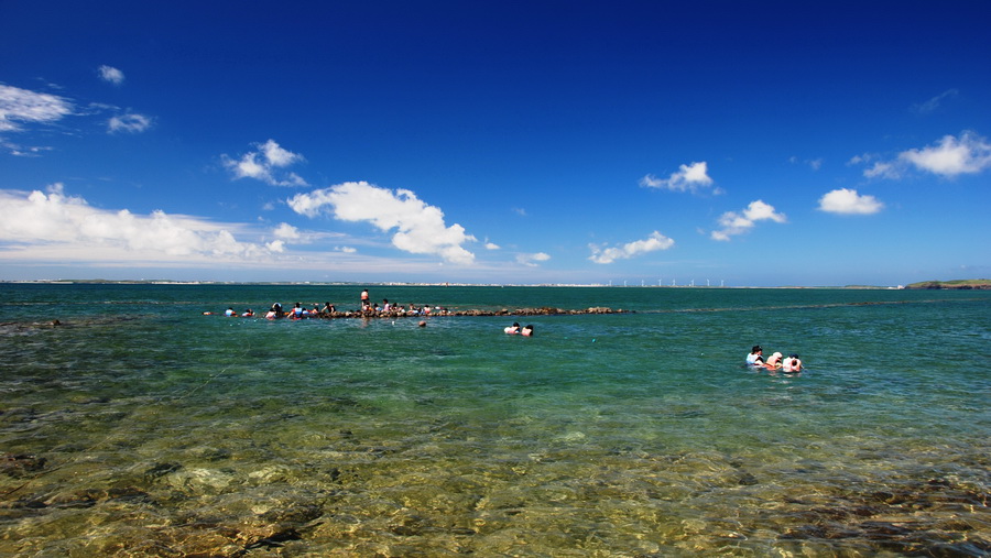 酷夏東海派對