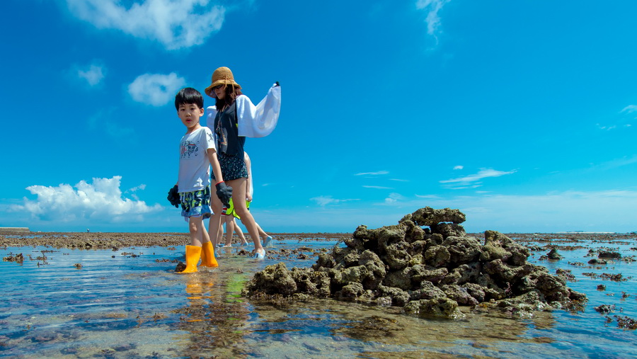 海的羅曼史