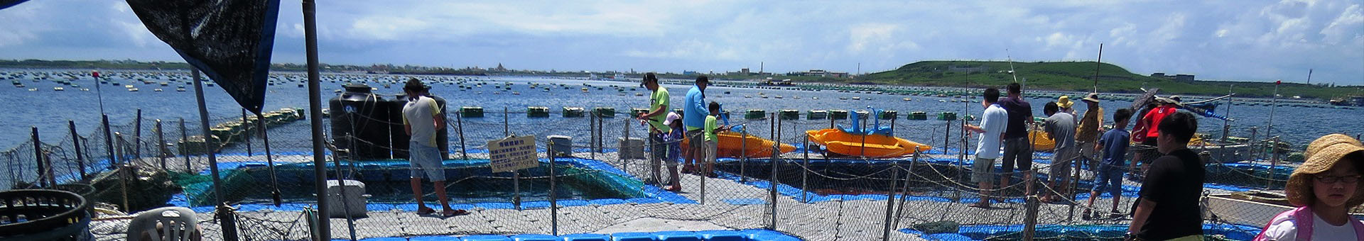 海洋牧場釣魚趣