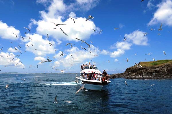 我不要去環島–東海篇